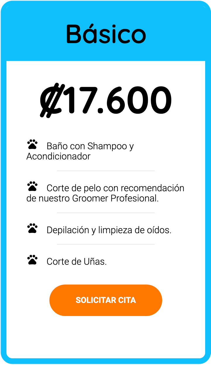 Captura de pantalla 2024-07-04 a la(s) 10.42.53 a. m_